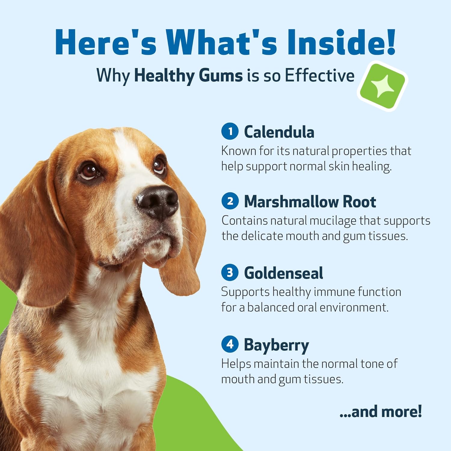 Veterinarian-Formulated Pet Wellbeing Healthy Gums for Dogs - Dental Health & Oral Care, Coenzyme Q10, Zinc Oxide, Calendula, Marshmallow Root - 4 oz
