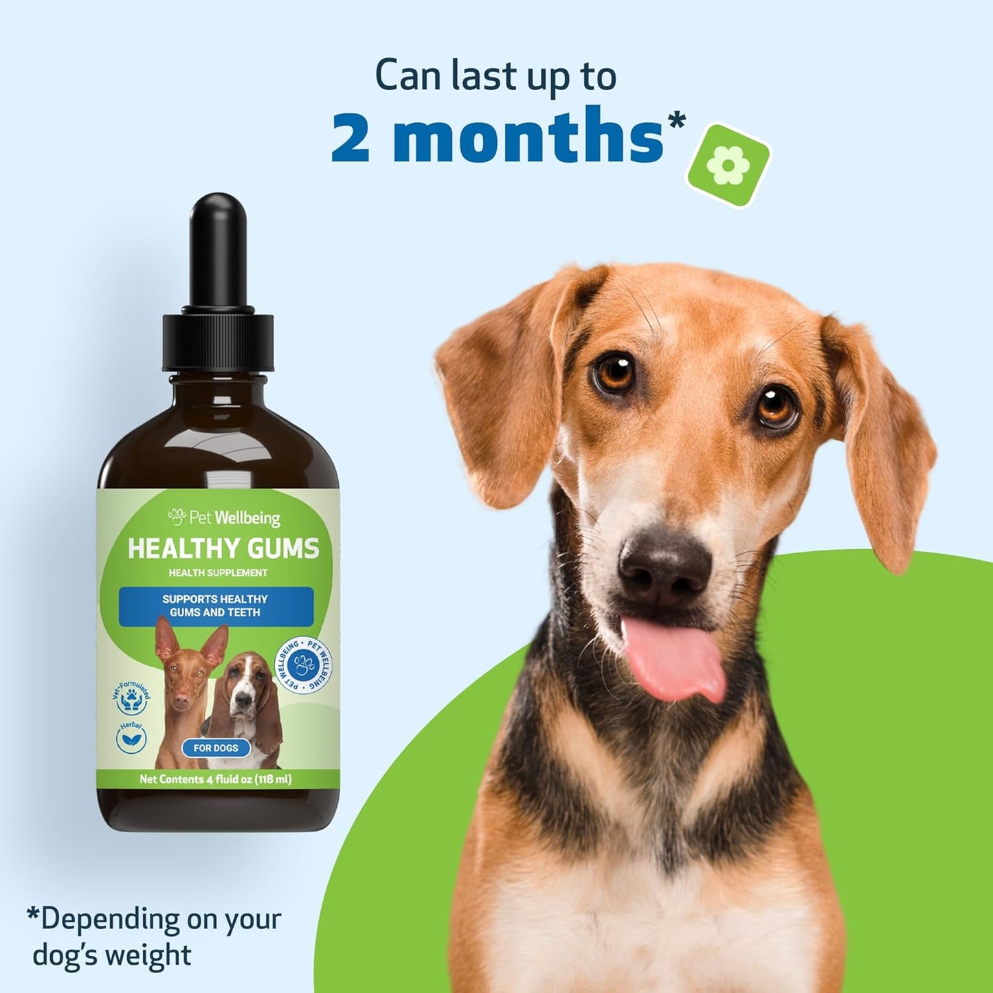 Veterinarian-Formulated Pet Wellbeing Healthy Gums for Dogs - Dental Health & Oral Care, Coenzyme Q10, Zinc Oxide, Calendula, Marshmallow Root - 4 oz