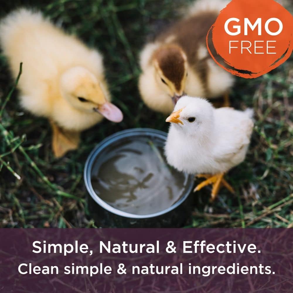 Veterinarian Formulated Probiotic + Electrolyte Supplement for Farm Animals by Bioverse Dr. Connie - Promotes Healthy Gut Function