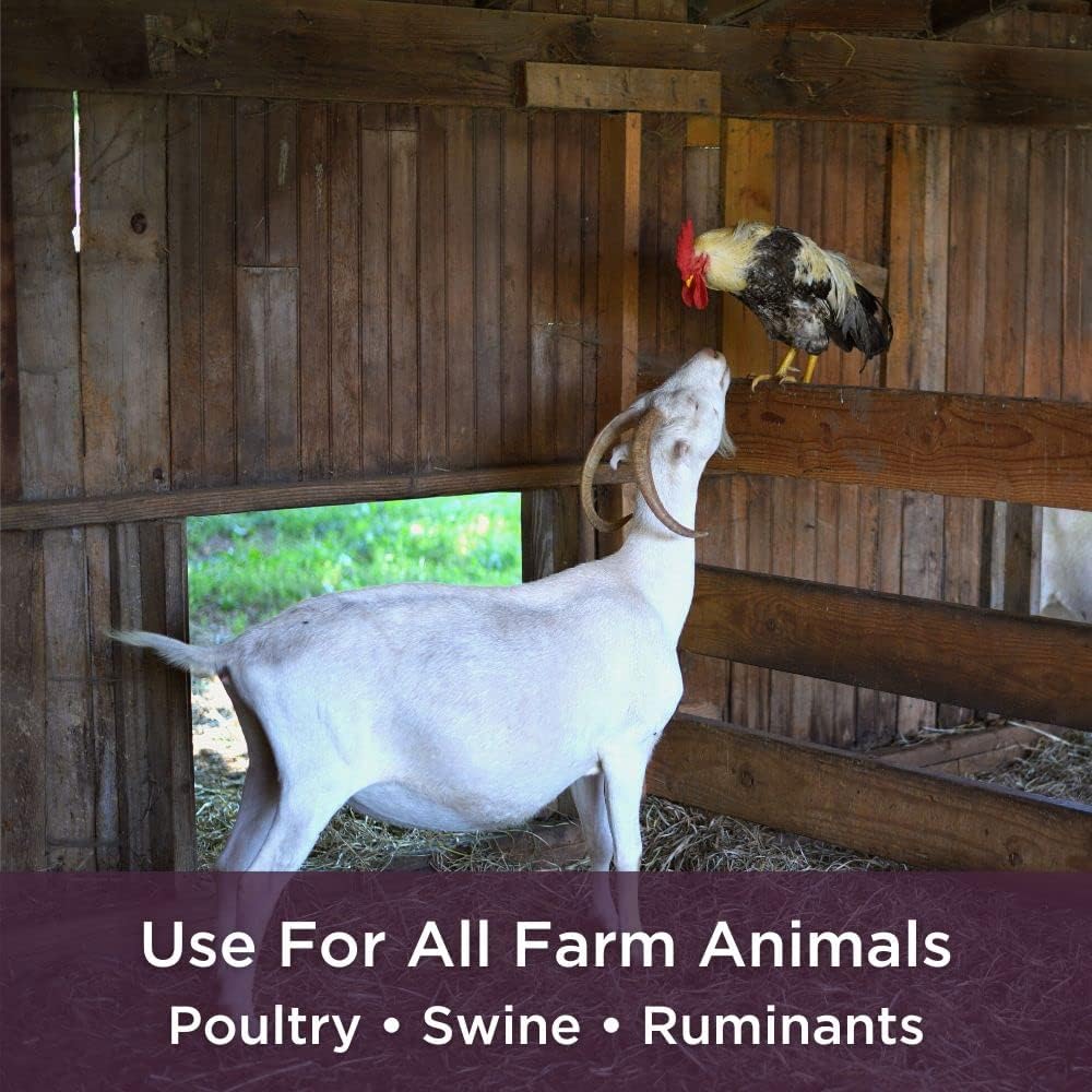 Veterinarian Formulated Probiotic + Electrolyte Supplement for Farm Animals by Bioverse Dr. Connie - Promotes Healthy Gut Function