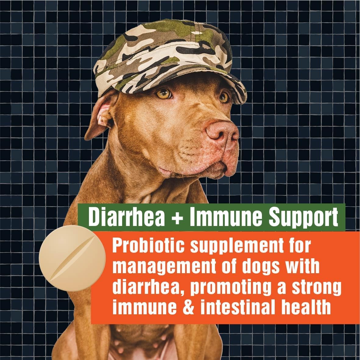 Veterinary Dog Probiotics for Digestive Health & Immune Support - Army Soldier Owned Canine Probiotics for Gut Health, 60 Chewable Tablets (4 Pack)