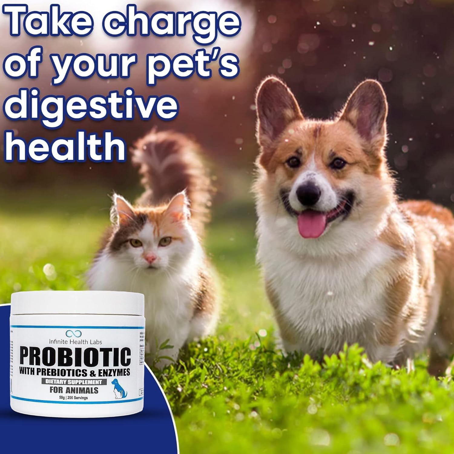 Veterinary-Formulated Pet Probiotic & Enzyme Powder for Digestive & Immune Health - 200 Servings - Made in USA