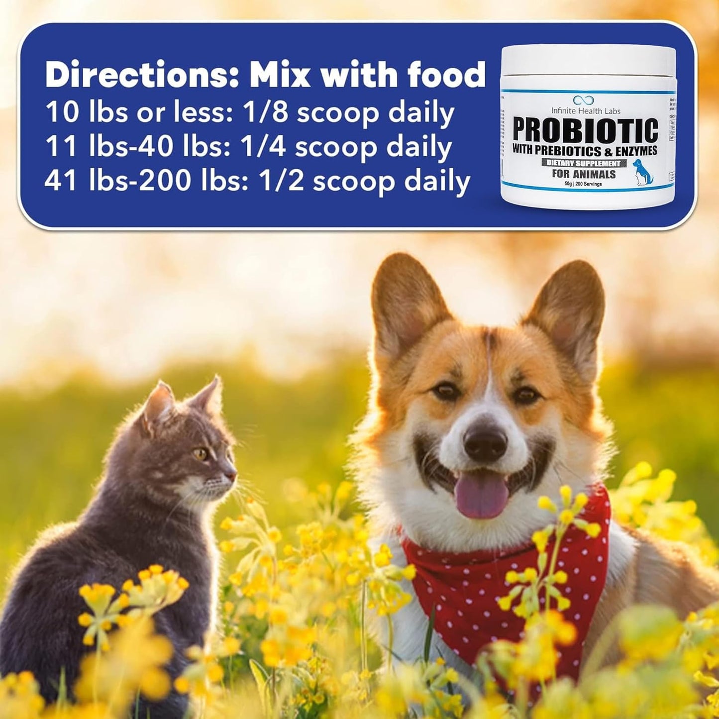 Veterinary-Formulated Pet Probiotic & Enzyme Powder for Digestive & Immune Health - 200 Servings - Made in USA