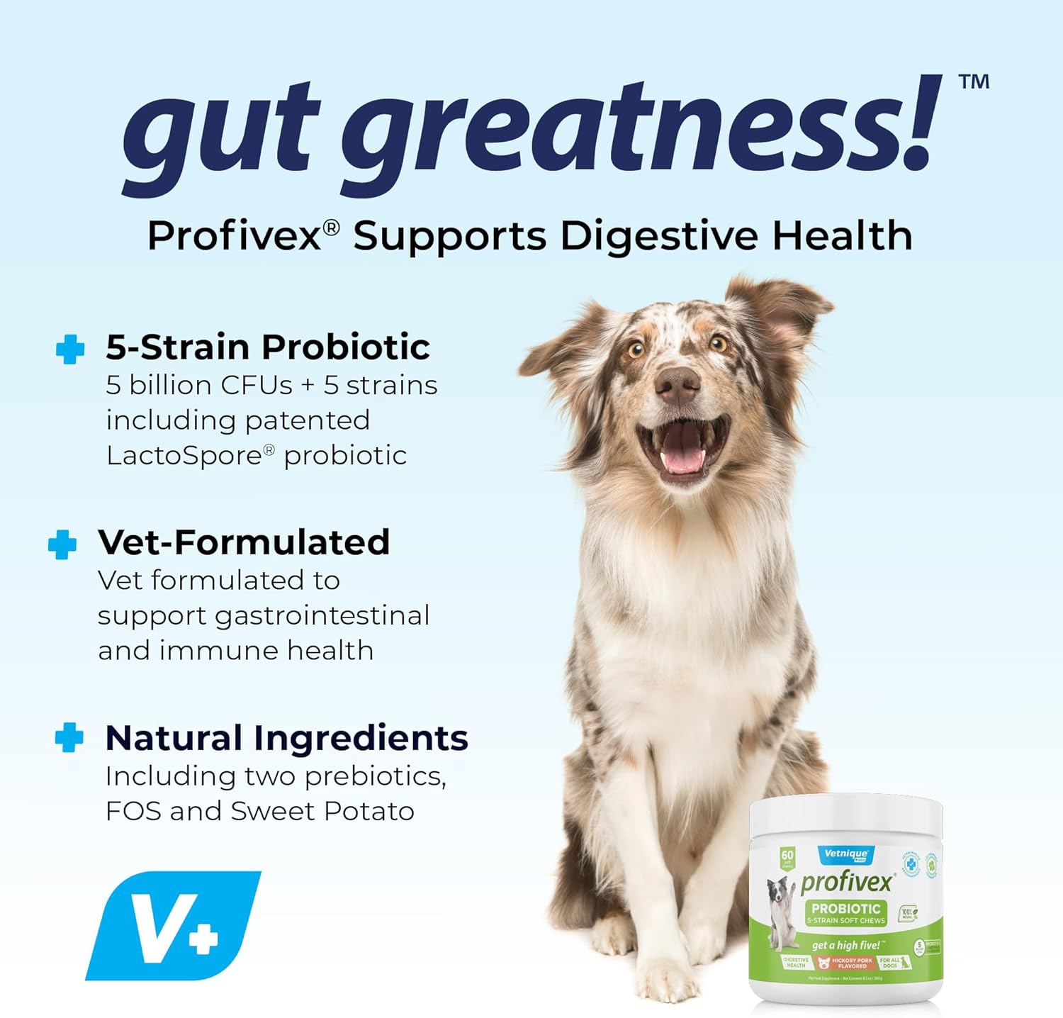 Vetnique Labs Profivex Probiotics for Dogs: All Natural Digestive Health Supplements with 5 Probiotic Strains & Prebiotics, Soft Chews, 60ct