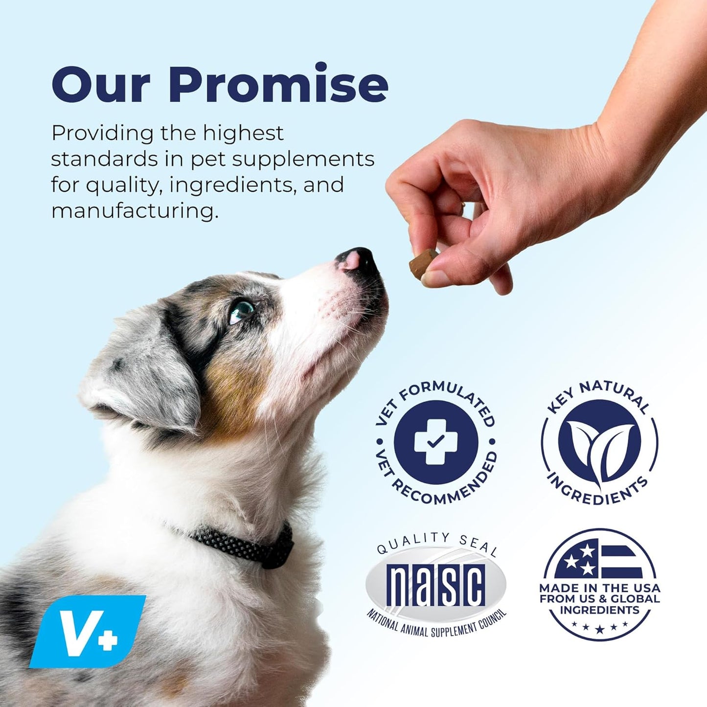 Vetnique Labs Profivex Probiotics for Dogs: All Natural Digestive Health Supplements with 5 Probiotic Strains & Prebiotics, Soft Chews, 60ct