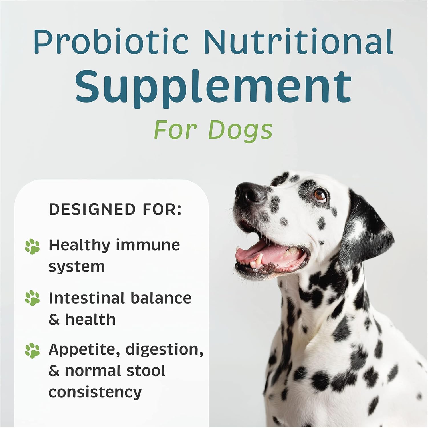 VetOne Advita Probiotic Nutritional Supplement for Dogs - 30 Packets, Supports Digestive Health