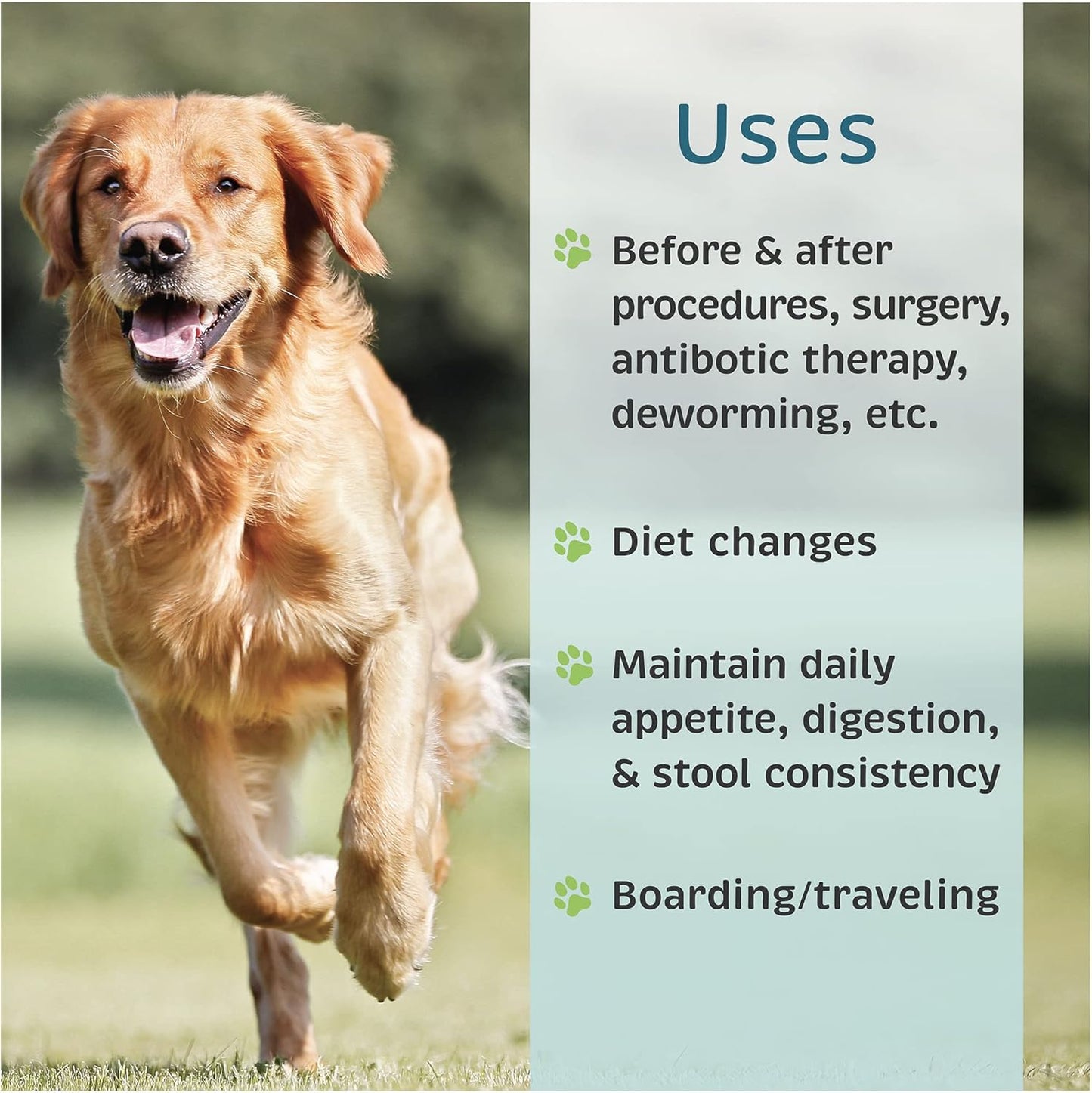 VetOne Advita Probiotic Nutritional Supplement for Dogs - 30 Packets, Supports Digestive Health