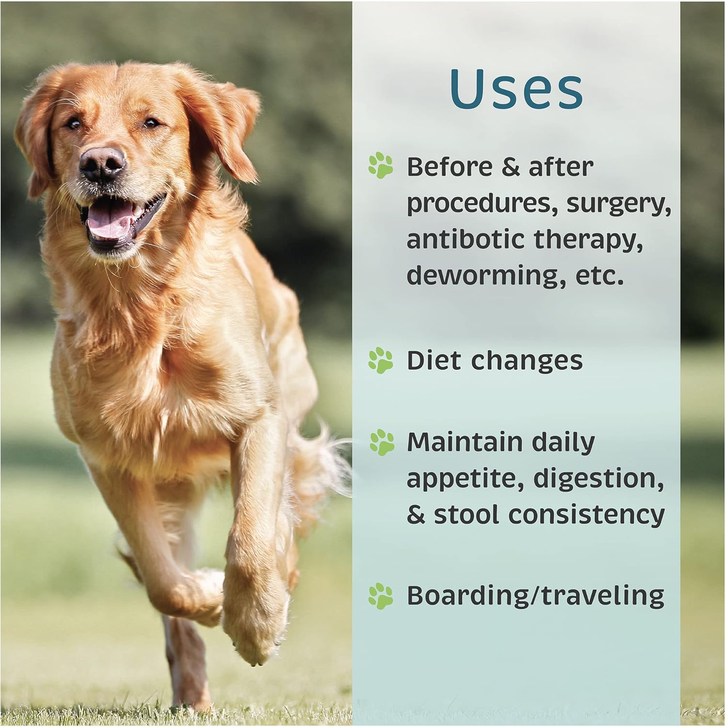 VetOne Advita Probiotic Nutritional Supplement for Dogs - 30 Packets, Supports Digestive Health