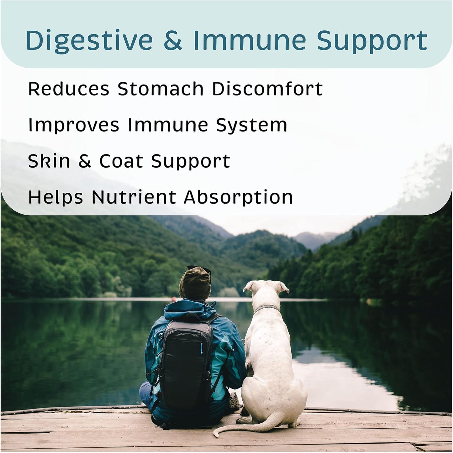 VetOne Advita Probiotic Nutritional Supplement for Dogs - 30 Packets, Supports Digestive Health