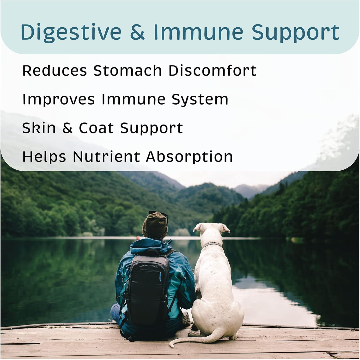 VetOne Advita Probiotic Nutritional Supplement for Dogs - 30 Packets, Supports Digestive Health