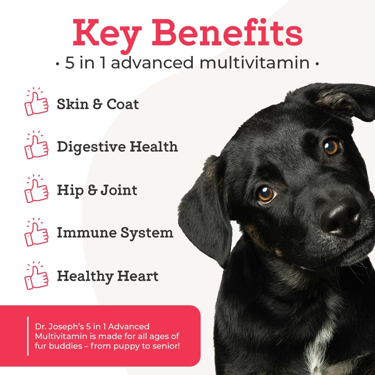 VetPro Complete Multivitamin Dog Supplement, 120ct, 5in1 Chew with Vitamins, Enzymes, Nutrients & Glucosamine for Hip & Joint Health, Immune System & Allergy Support by Dr. Joseph