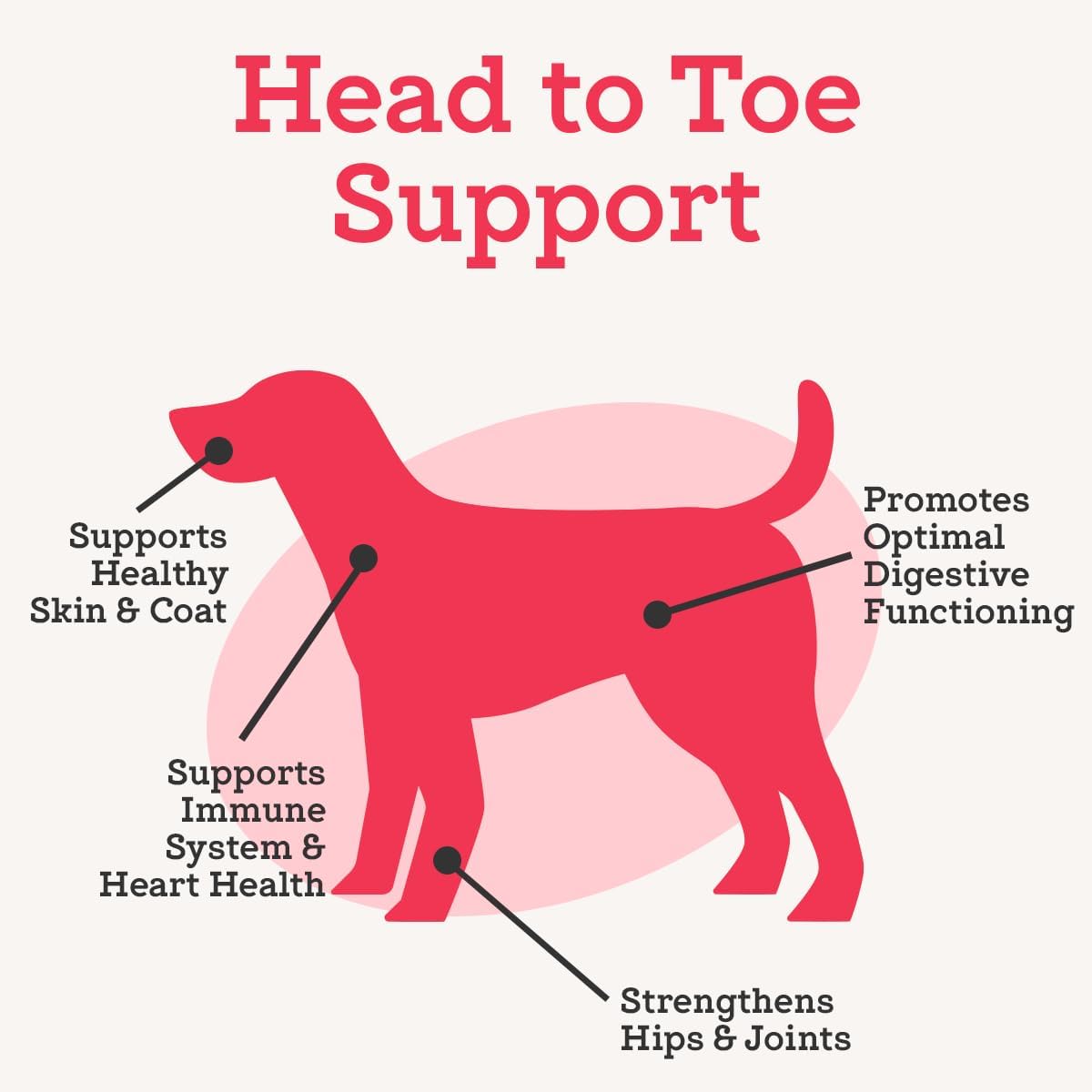 VetPro Complete Multivitamin Dog Supplement, 120ct, 5in1 Chew with Vitamins, Enzymes, Nutrients & Glucosamine for Hip & Joint Health, Immune System & Allergy Support by Dr. Joseph