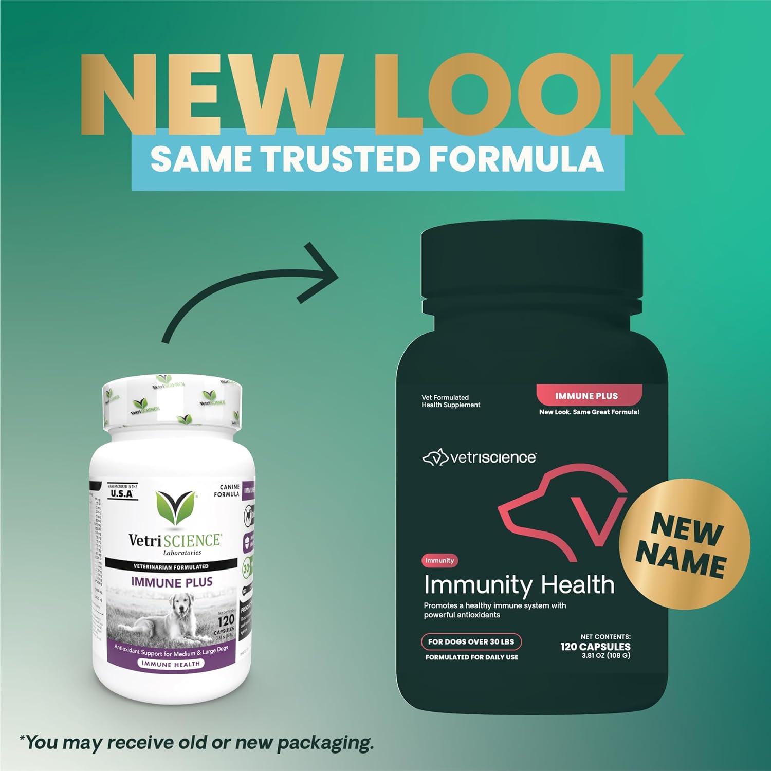 VetriScience Immune Health Capsules for Medium to Large Dogs, 23 Antioxidants, Immune Support, 120 Count