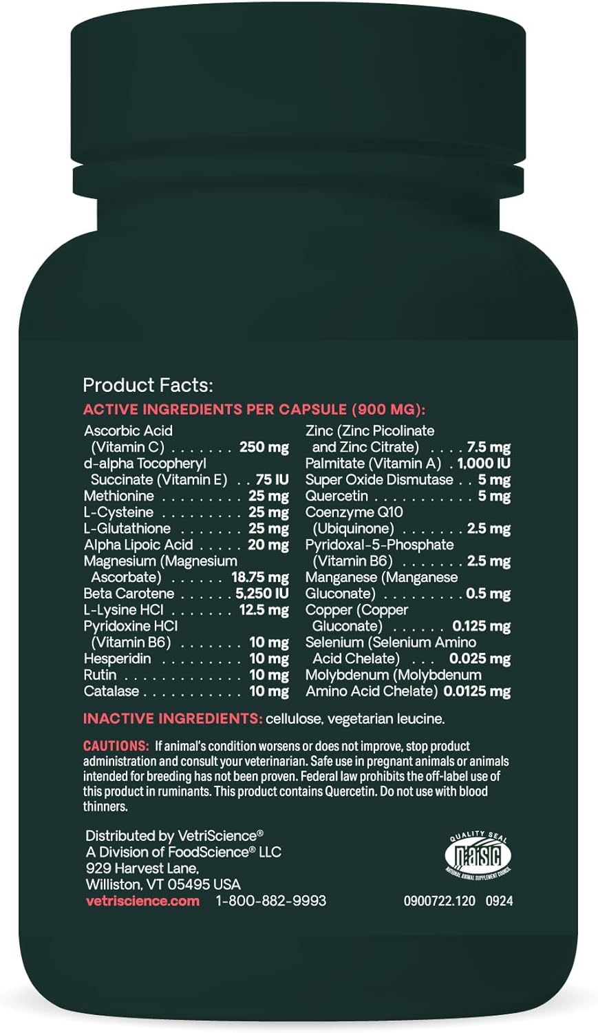 VetriScience Immune Health Capsules for Medium to Large Dogs, 23 Antioxidants, Immune Support, 120 Count