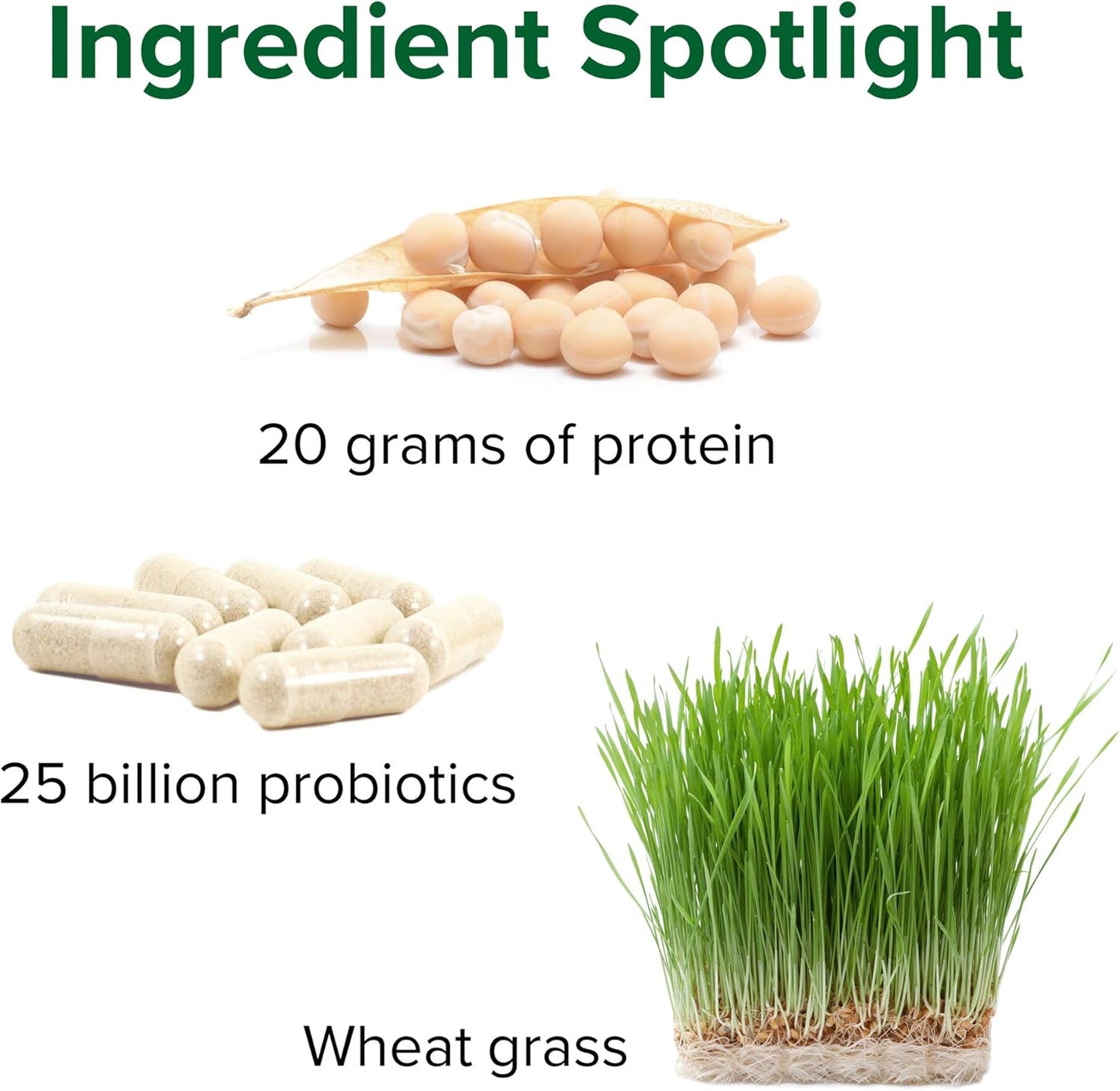 Vibrant Health Maximum Vibrance Vanilla Bean Vegan Meal Shake 15 Servings