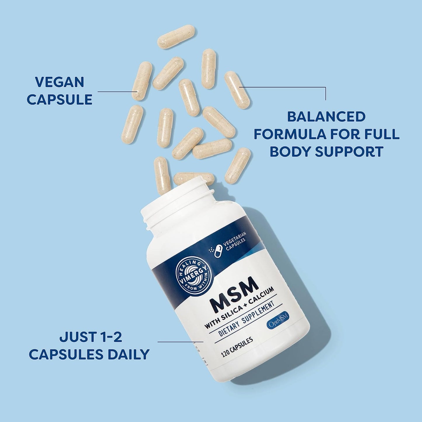 Vimergy MSM Capsules (120 Count) and Micro-C Immune Power Powder - 250g