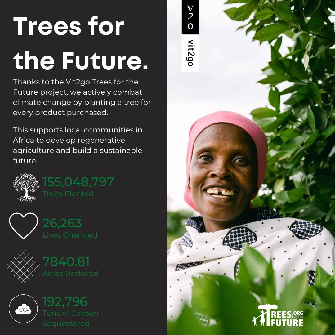 Vit2Go Electrolyte Powder Drink with Vitamins for Hydration & Liver Detox - Blackcurrant Flavor (30 Sachets)