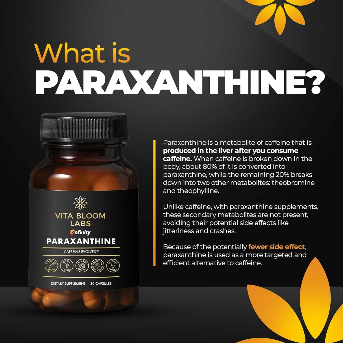 Vita Bloom Labs Enfinity Paraxanthine Capsules - Clean Energy & Focus Boost - Caffeine Alternative - 200mg - 30 Capsules - USA Formulated - GMP Certified