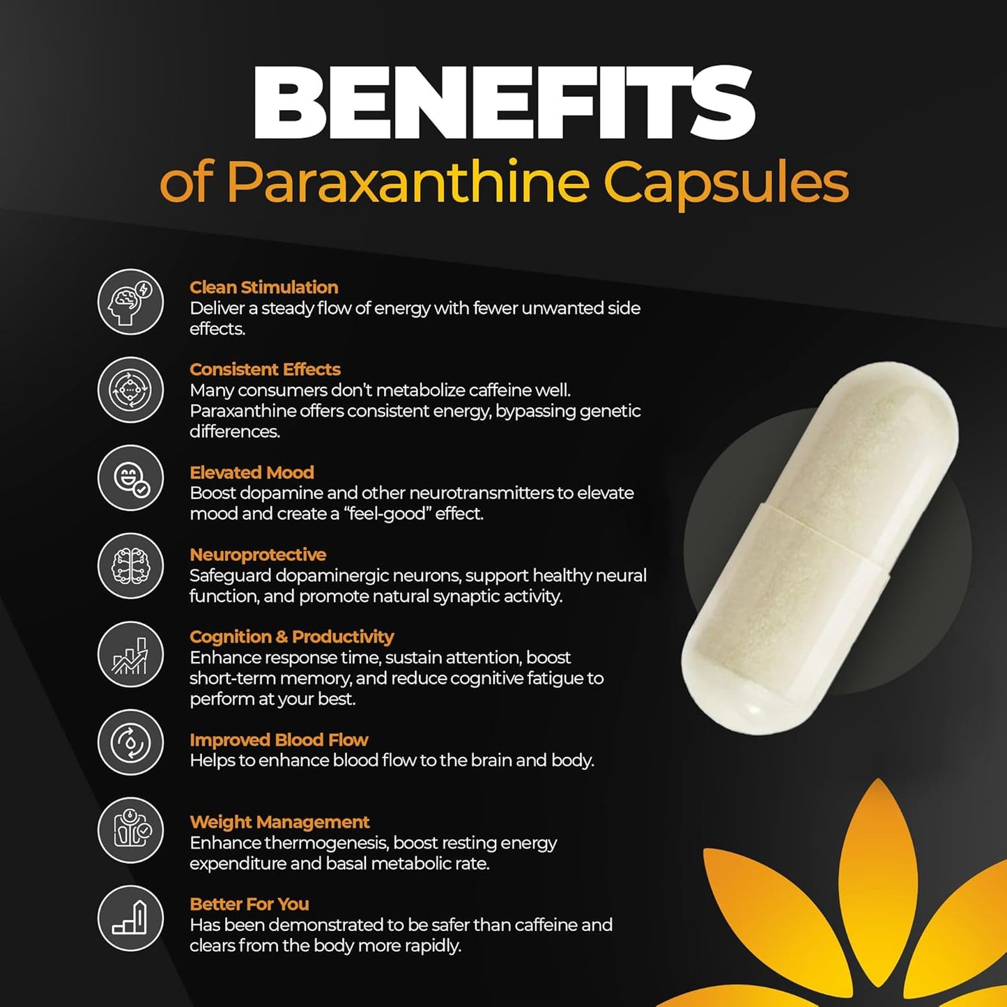 Vita Bloom Labs Enfinity Paraxanthine Capsules - Clean Energy & Focus Boost - Caffeine Alternative - 200mg - 30 Capsules - USA Formulated - GMP Certified