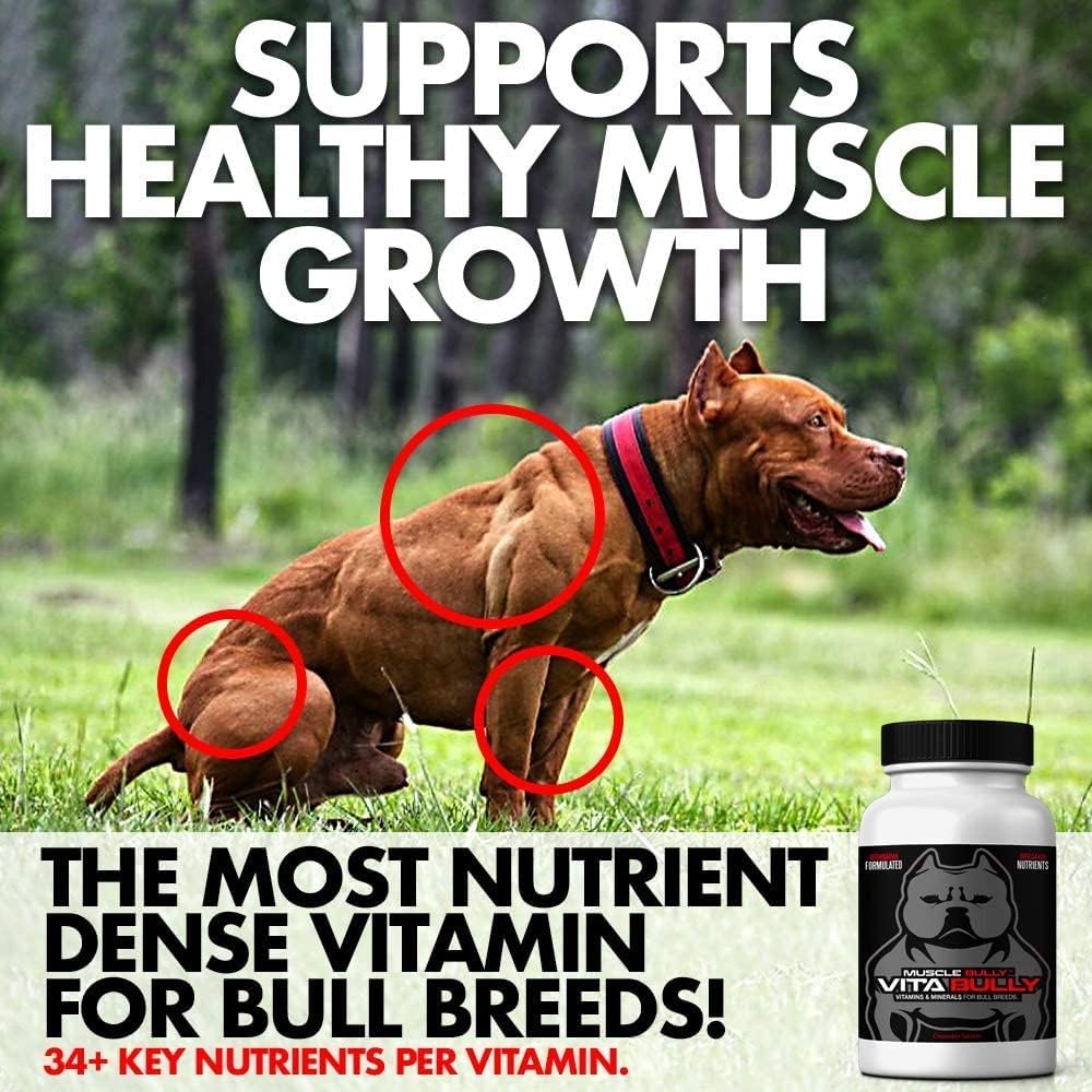 Vita Bully Vitamins for Bully Breeds: Pit Bulls, American Bullies, Bulldogs - Made in USA (60 Vitamins)