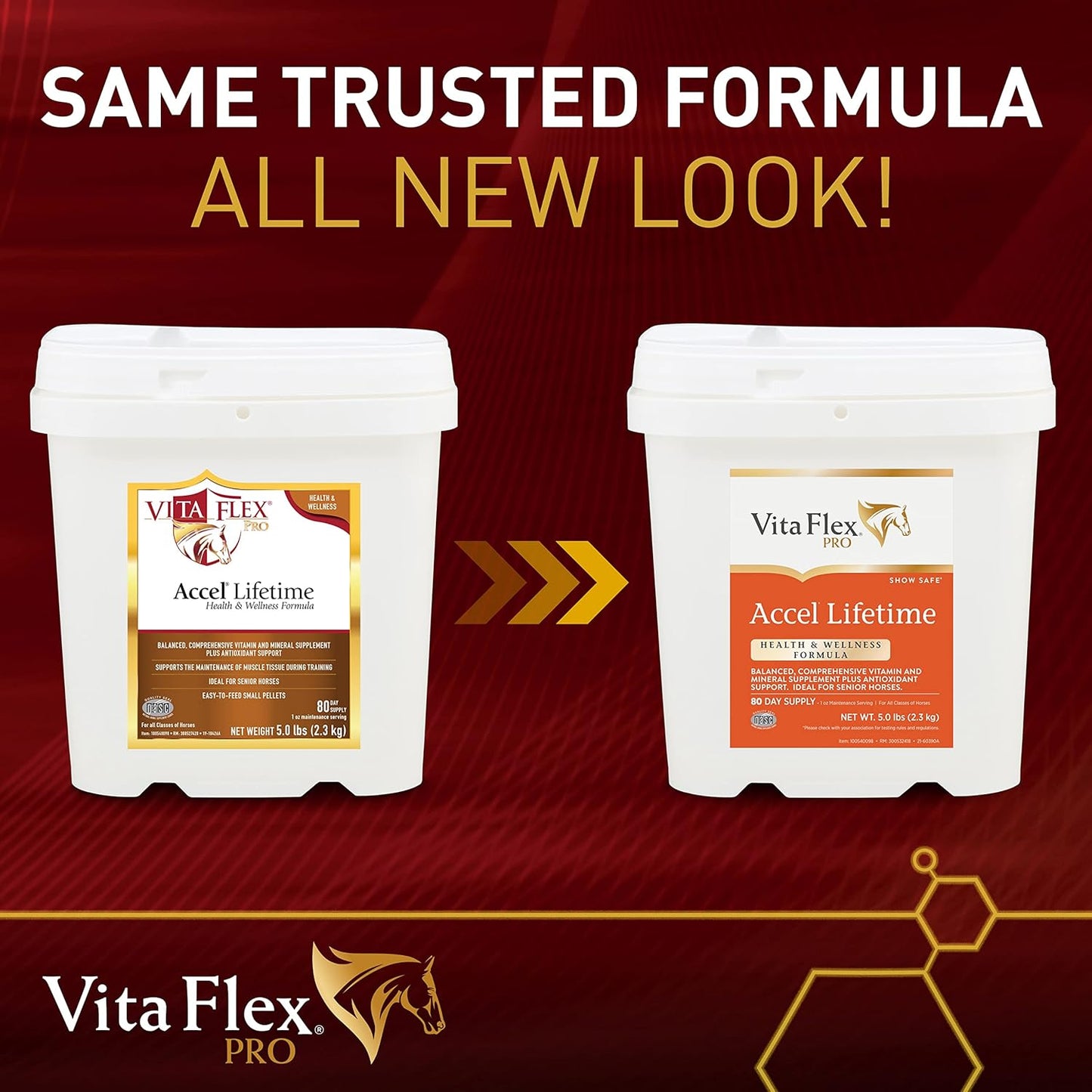 Vita Flex Pro Accel 5 lbs: Lifetime Health & Wellness Formula