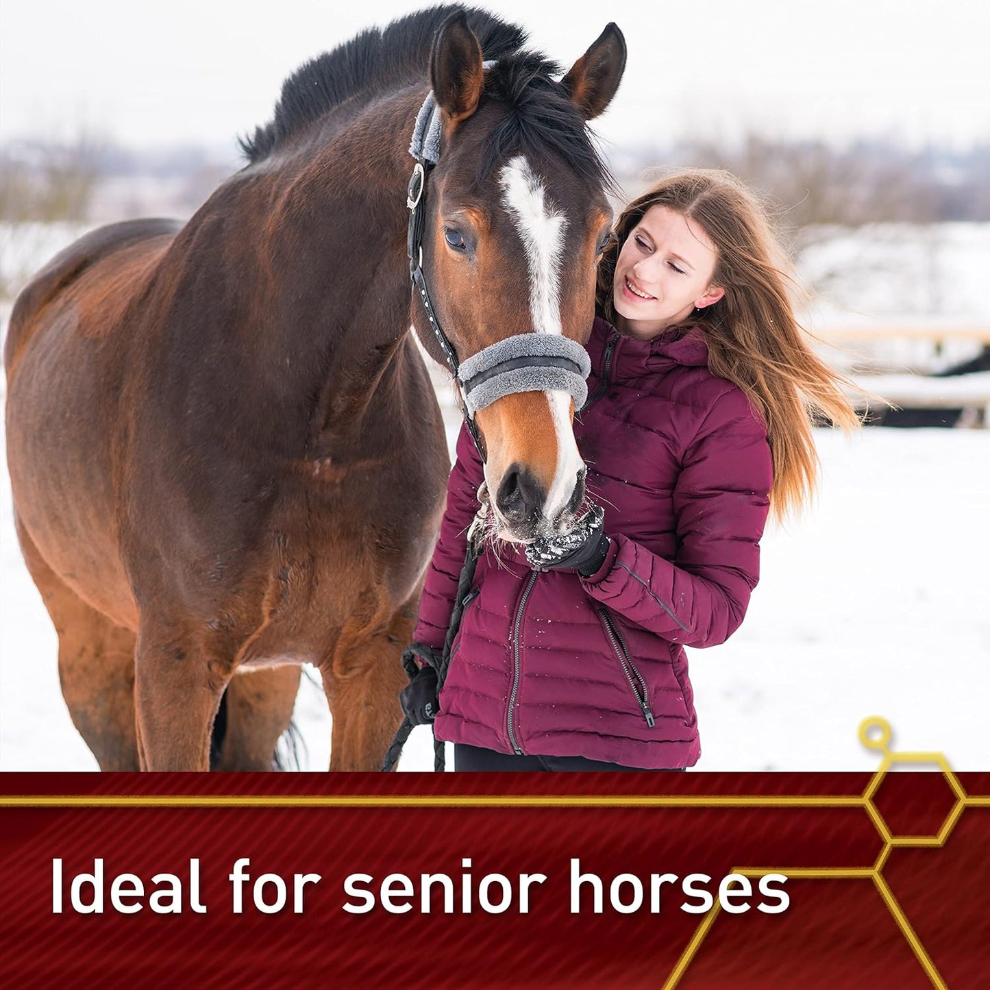 Vita Flex Pro Accel 5 lbs: Lifetime Health & Wellness Formula