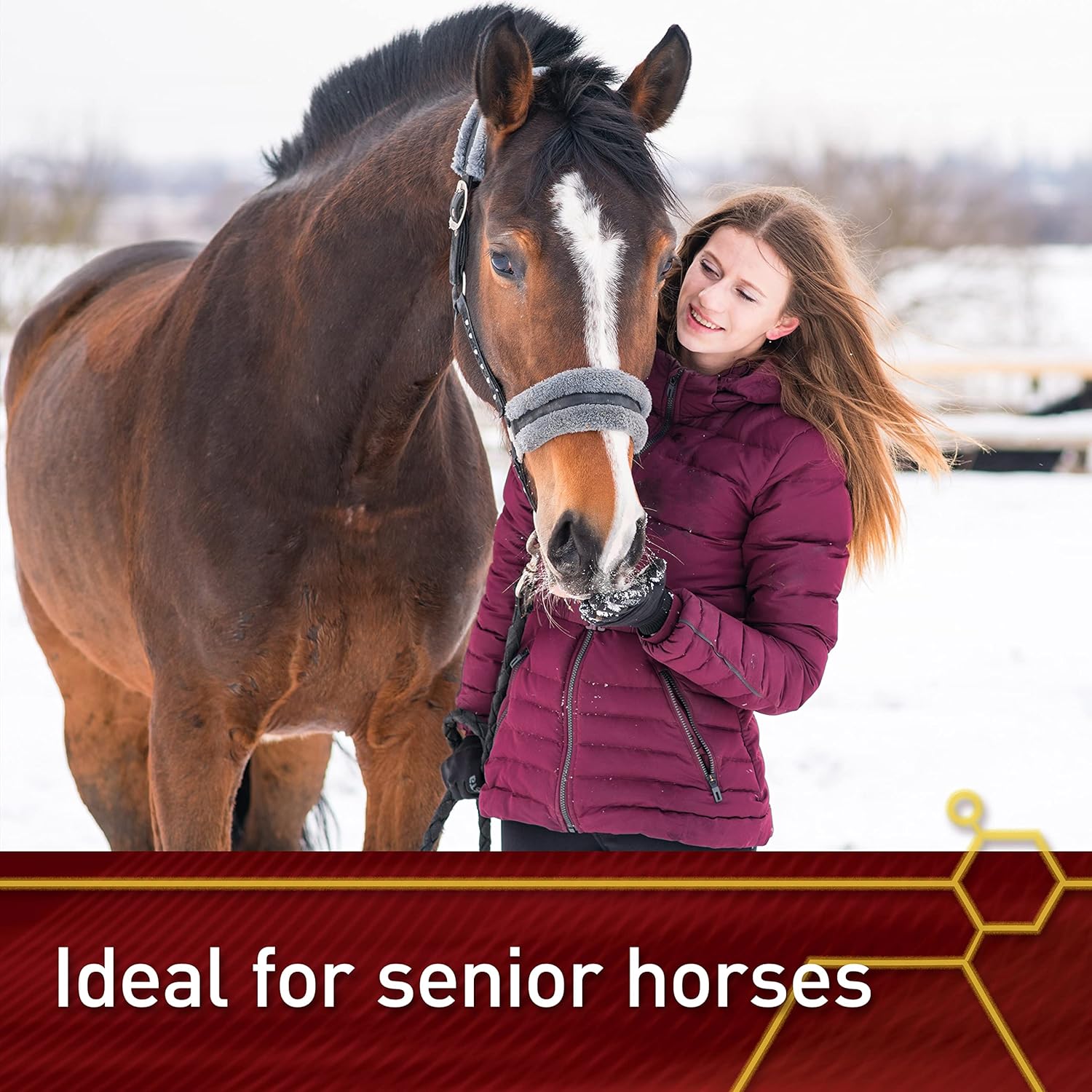 Vita Flex Pro Accel 5 lbs: Lifetime Health & Wellness Formula