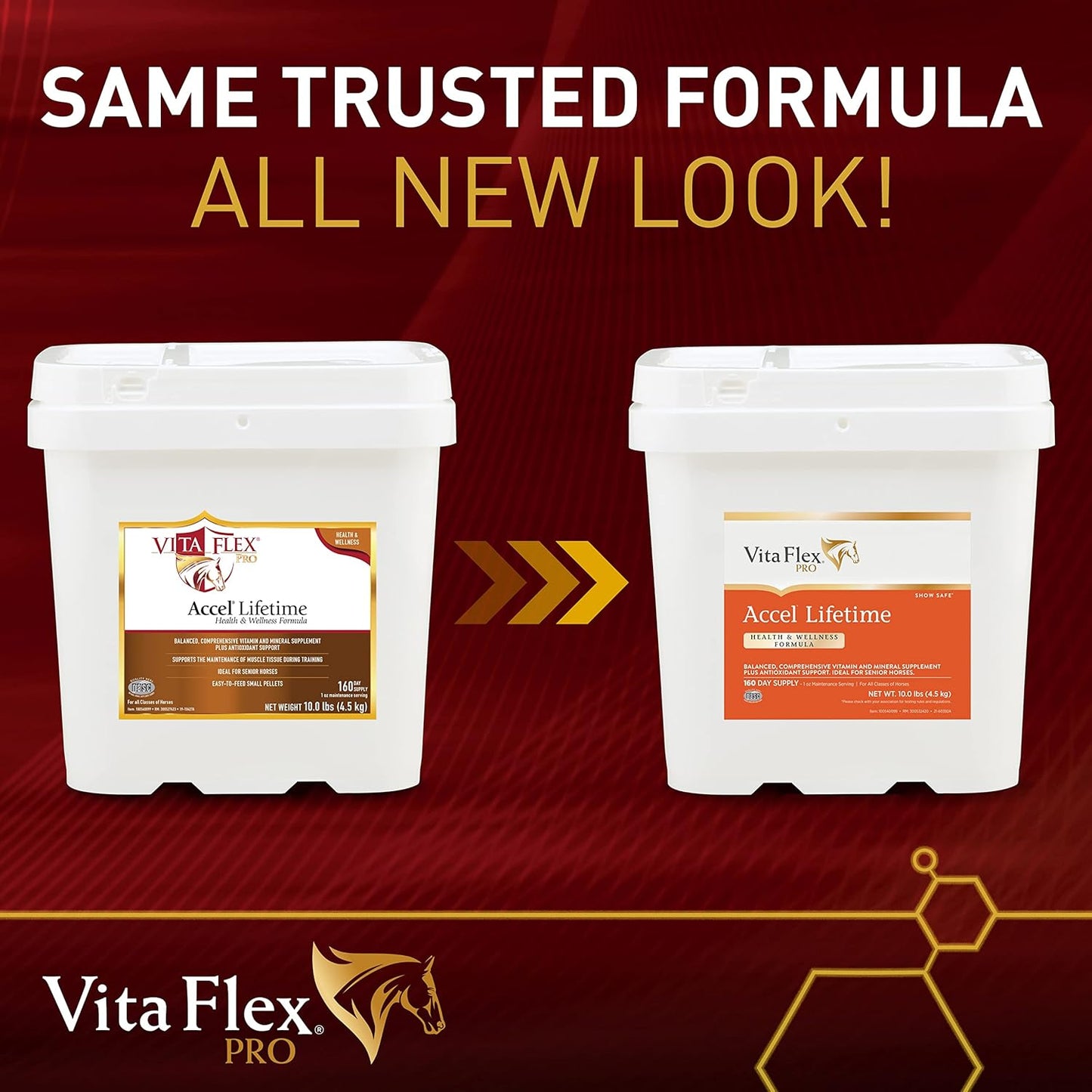 Vita Flex Pro Accel Horse Supplement 10 lb - Lifetime Health & Wellness Formula