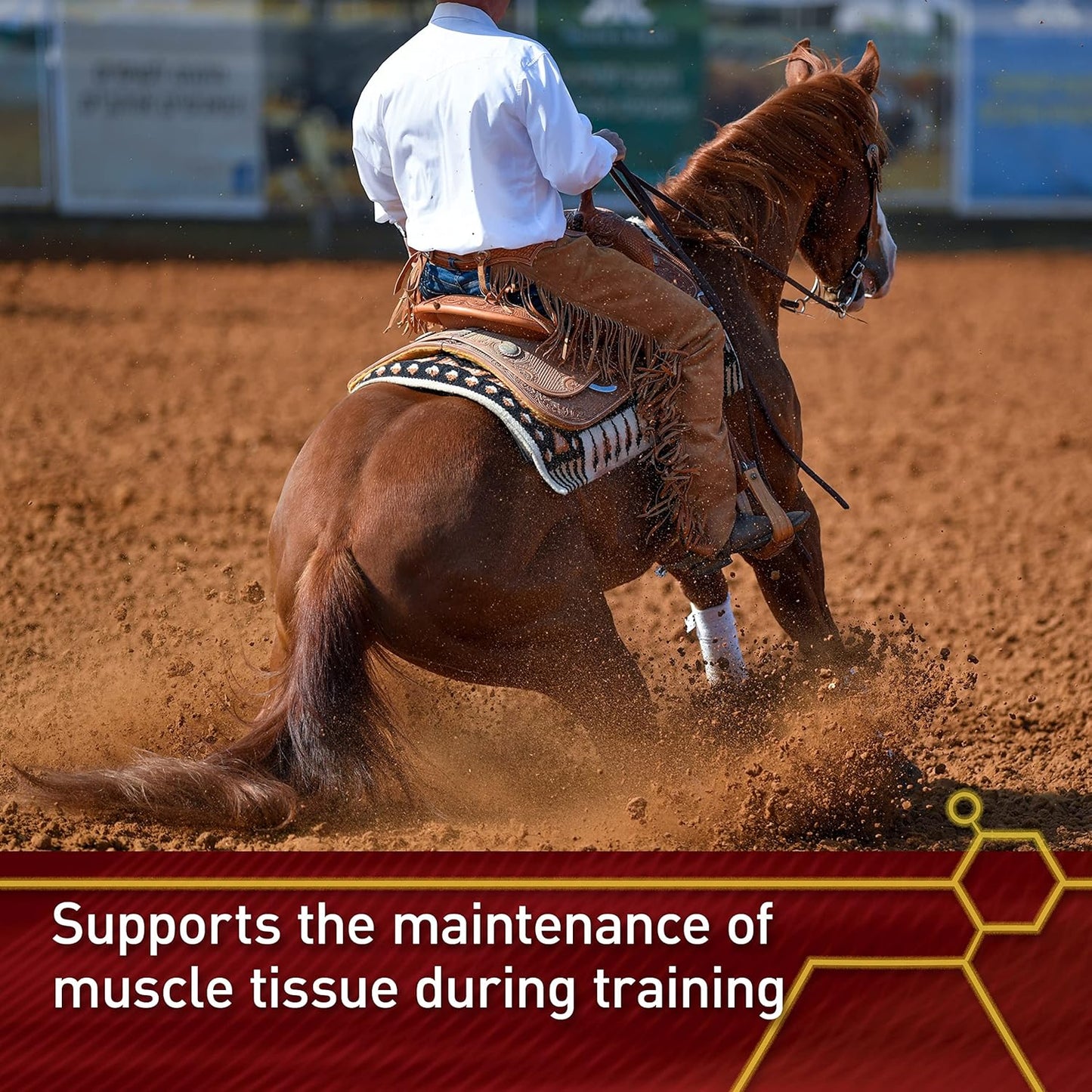 Vita Flex Pro Accel Horse Supplement 10 lb - Lifetime Health & Wellness Formula