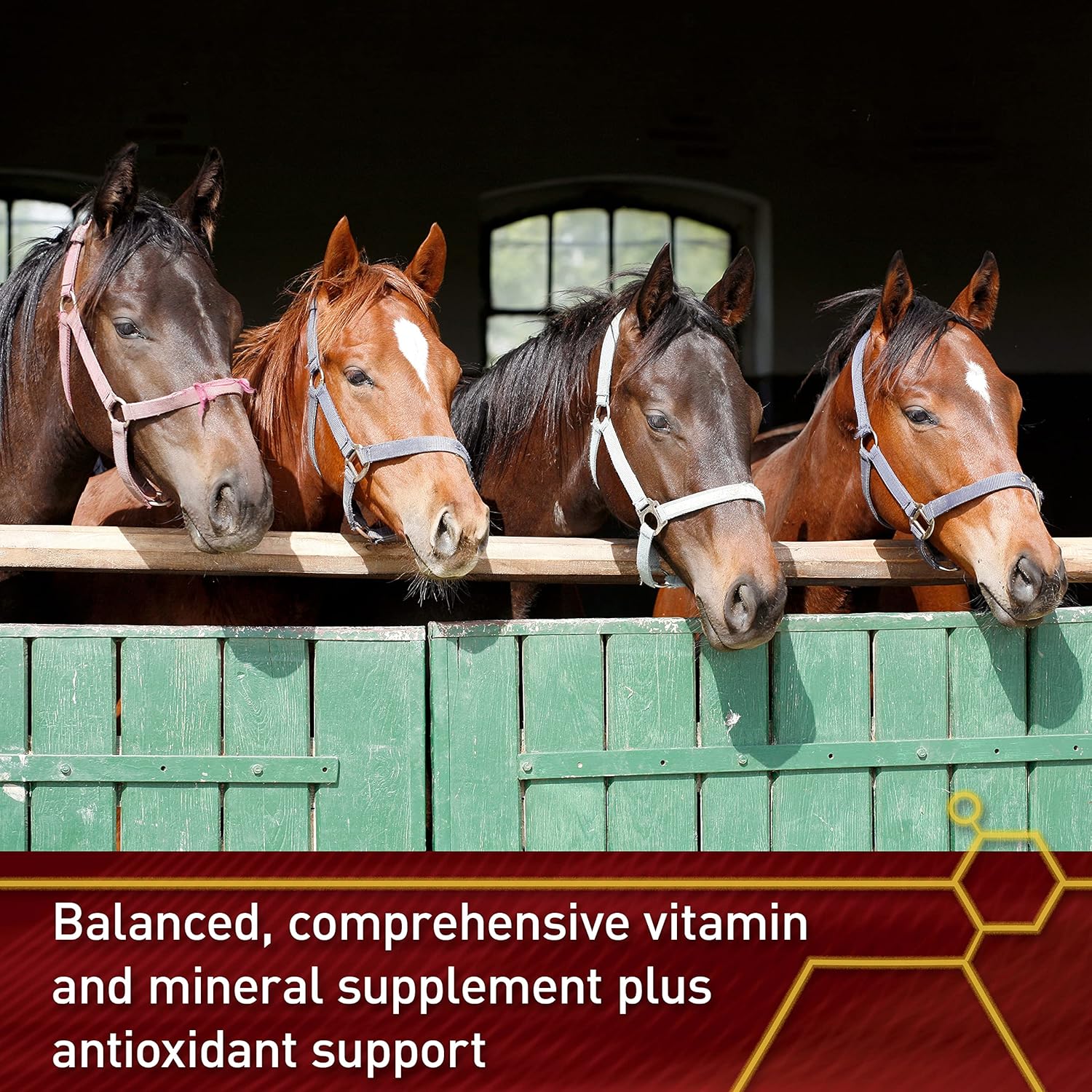 Vita Flex Pro Accel Horse Supplement 10 lb - Lifetime Health & Wellness Formula