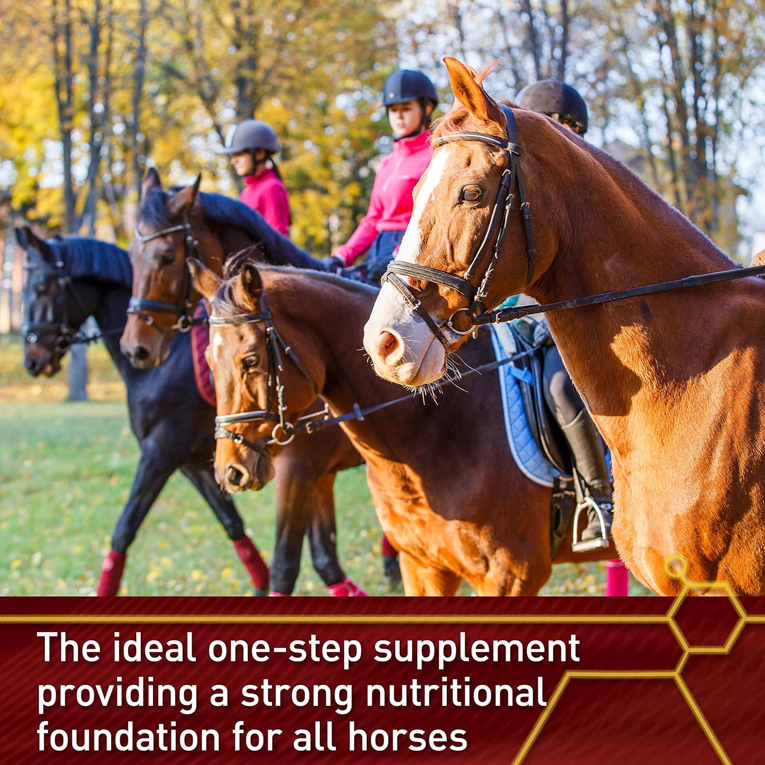 Vita Flex Pro Accel Horse Supplement, 30 lb, Supports Health & Wellness for 480 Days