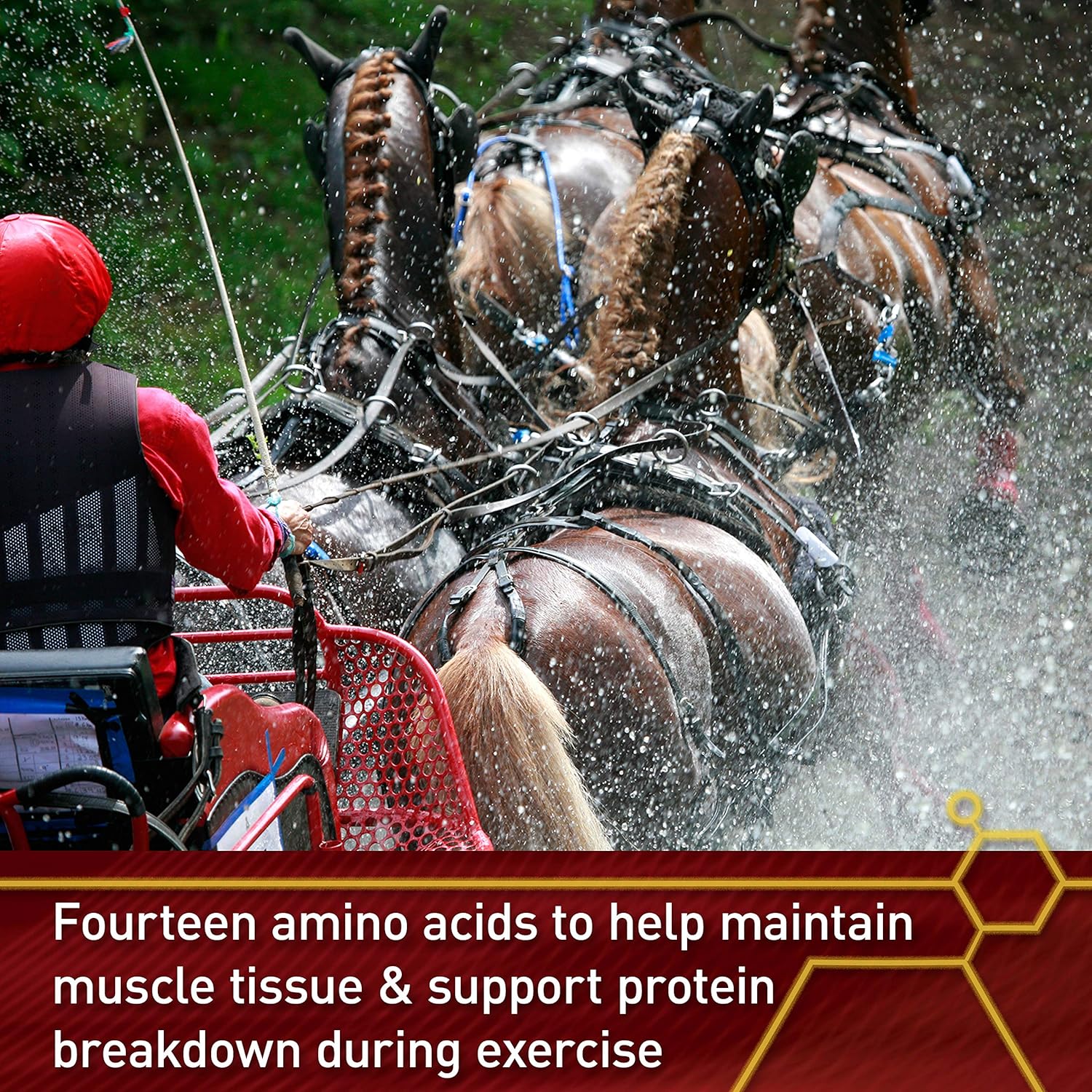 Vita Flex Pro Accel Horse Supplement, 30 lb, Supports Health & Wellness for 480 Days