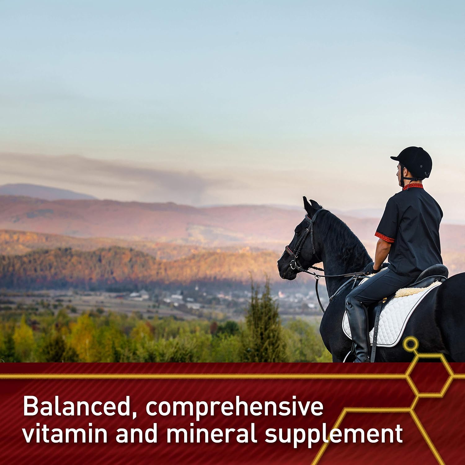 Vita Flex Pro Accel Horse Supplement, 30 lb, Supports Health & Wellness for 480 Days