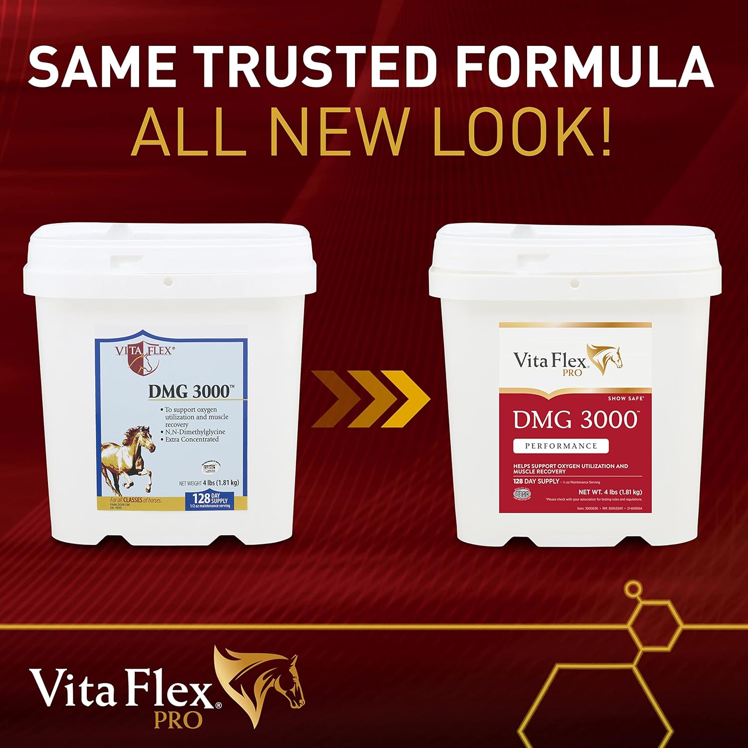 Vita Flex Pro DMG 3000 Equine Concentrate, 4 lb Tub, 128 Day Horse Supplement Supply