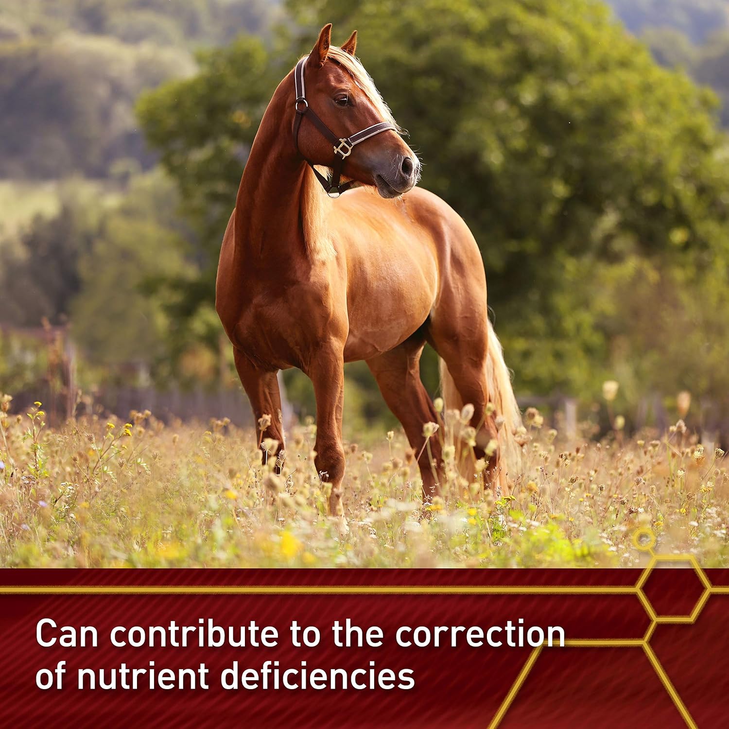 Vita Flex Pro E and Selenium Supplement for Horses, 4lb - Antioxidant-Rich Formula, 64-Day Supply