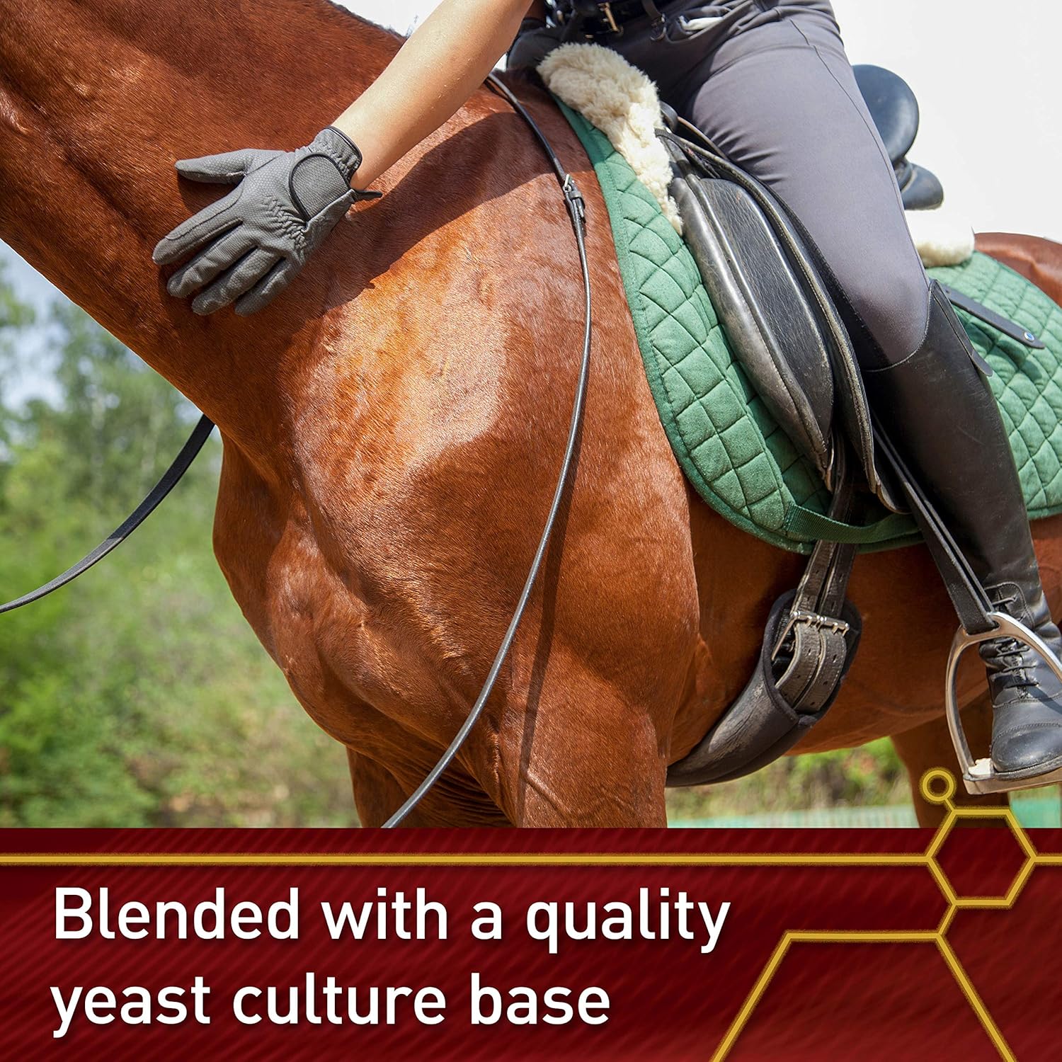 Vita Flex Pro E and Selenium Supplement for Horses, 4lb - Antioxidant-Rich Formula, 64-Day Supply