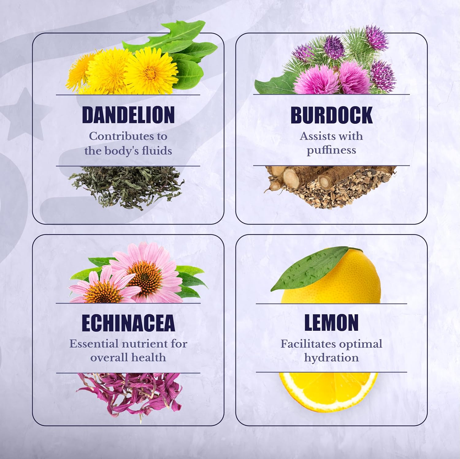 Vital Peak Lymph MD and Odorless Garlic Bundle for Nation Health Support