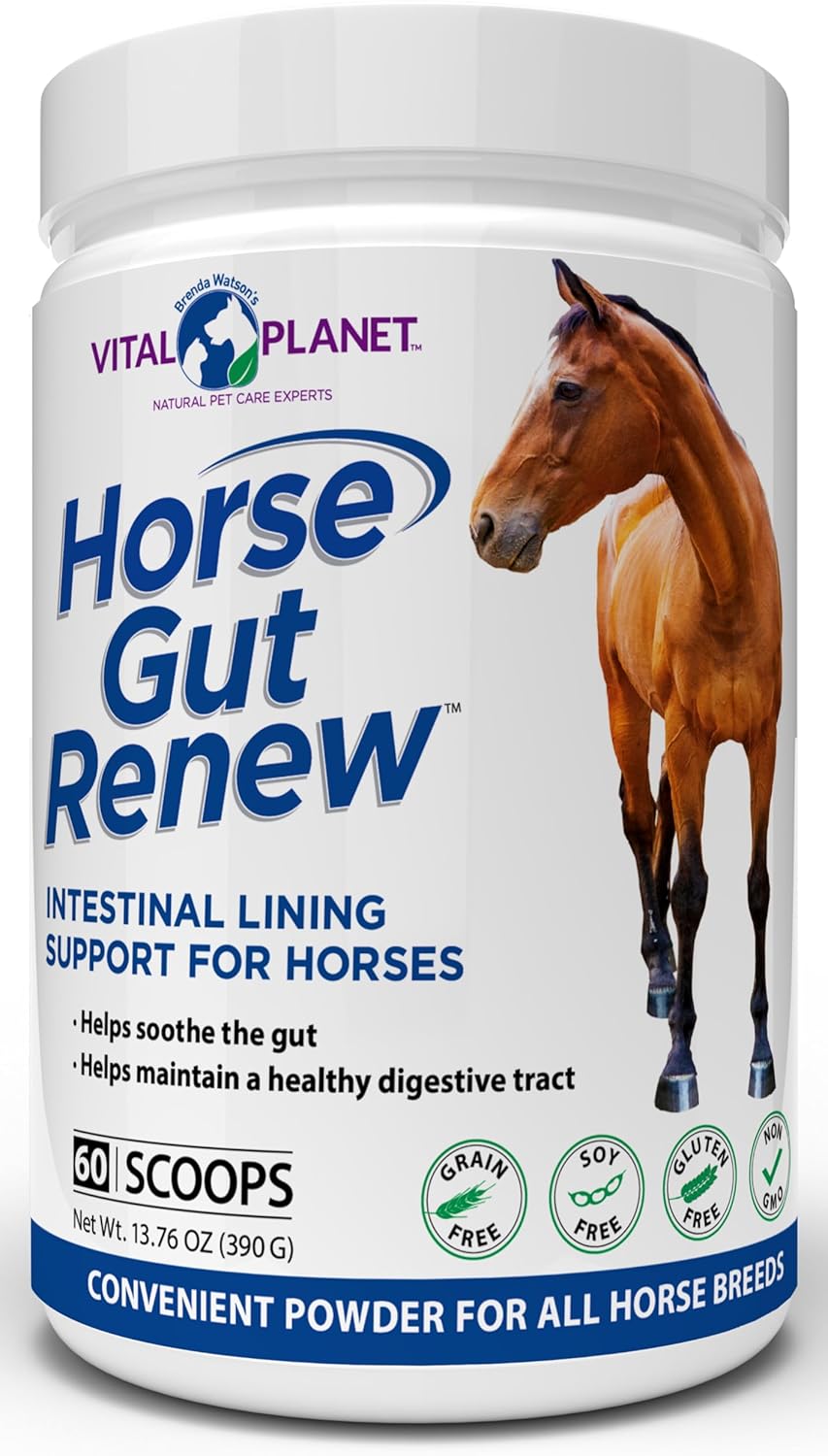 Vital Planet Horse Gut Renew 13.76oz - Supports Intestinal Lining in Horses - 60 Scoops