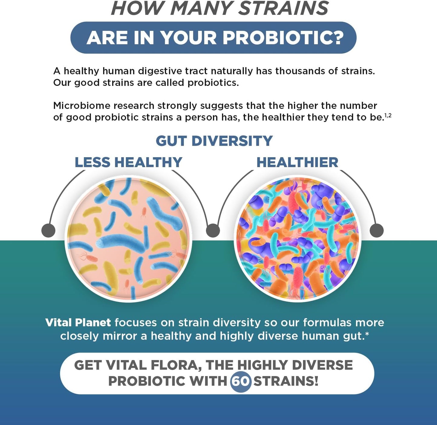 Vital Planet Men Over 55 Daily Probiotic - 60 Billion CFU, Diverse Strains, Organic Prebiotics - Immune & Digestive Support - 30 Capsules
