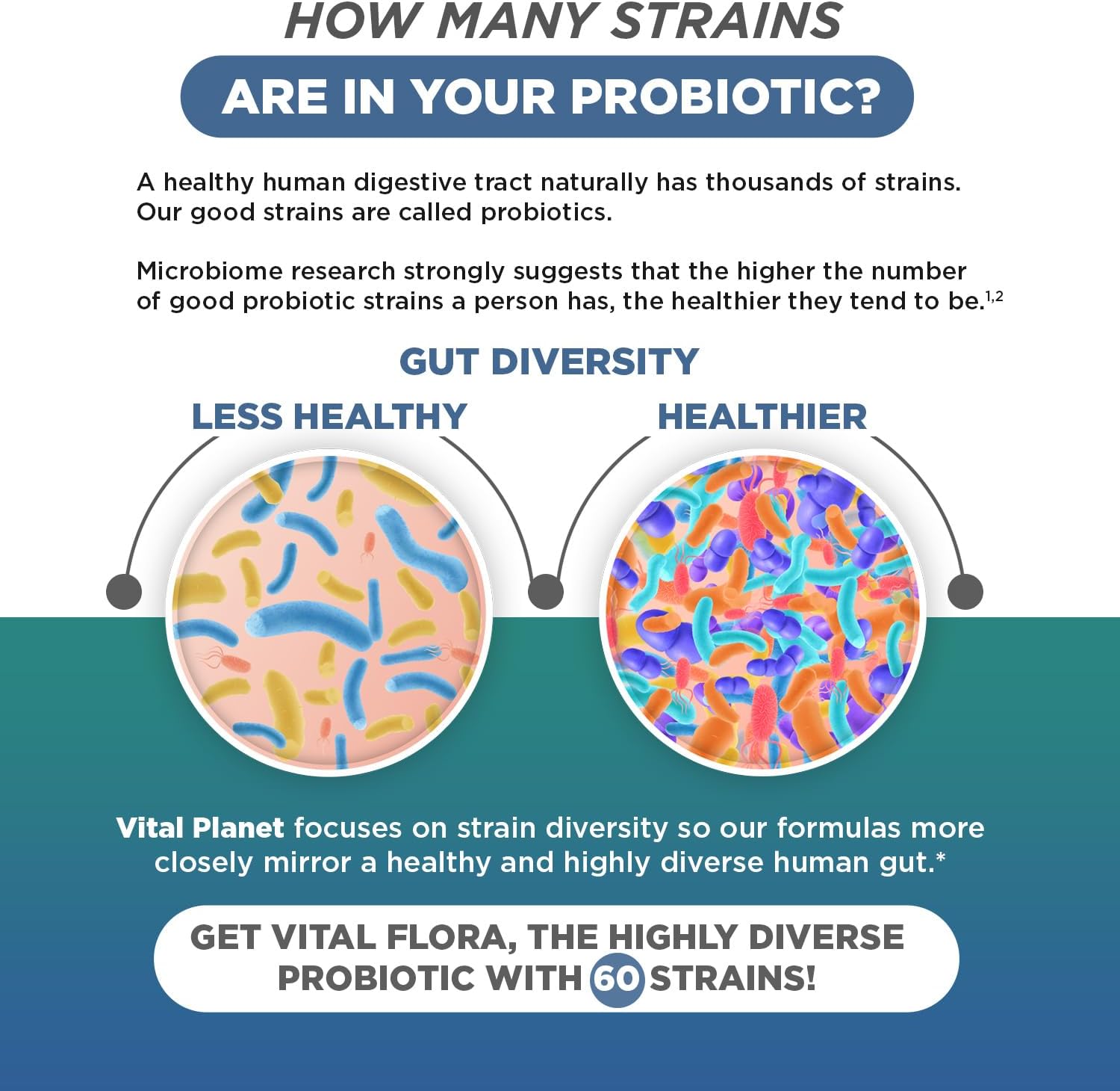 Vital Planet Men Over 55 Daily Probiotic - 60 Billion CFU, Diverse Strains, Organic Prebiotics - Immune & Digestive Support - 30 Capsules