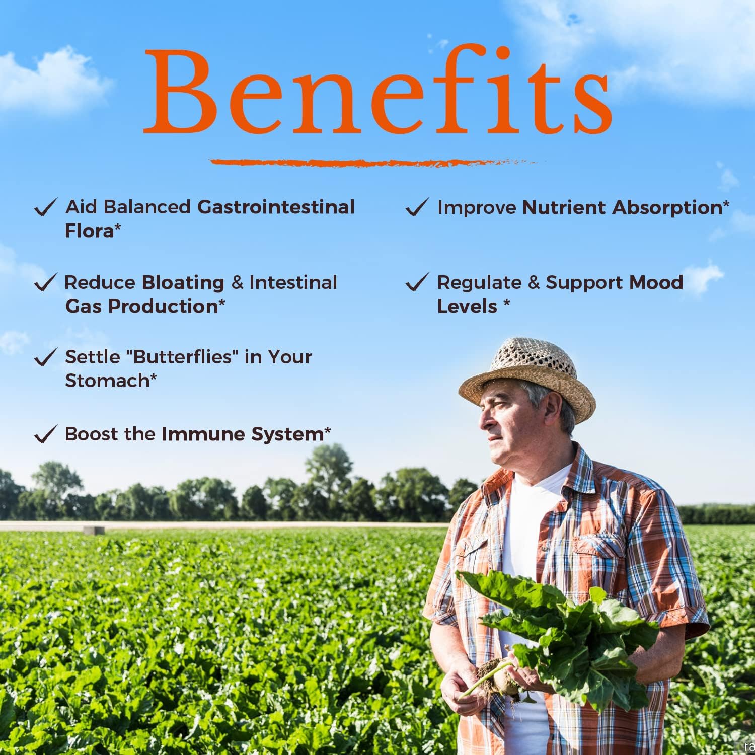 Vitalitown Probiotics: 120 Billion CFUs, 36 Strains, Prebiotics, Digestive Enzymes - On The Go Support