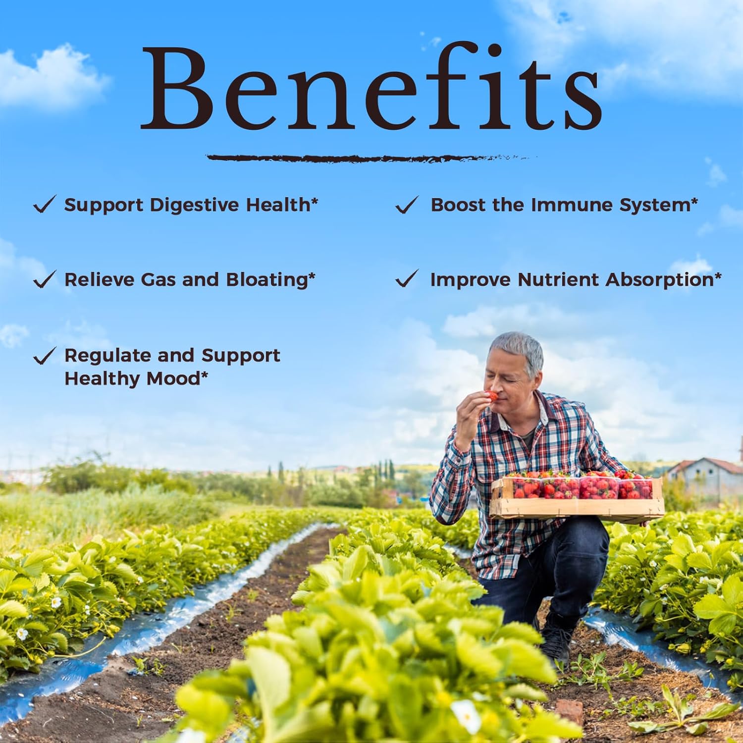 Vitalitown Probiotics 120 Billion CFUs 36 Strains with Prebiotics & Enzymes Shelf Stable Vegan Non-GMO Immune Support 60 Veg Caps