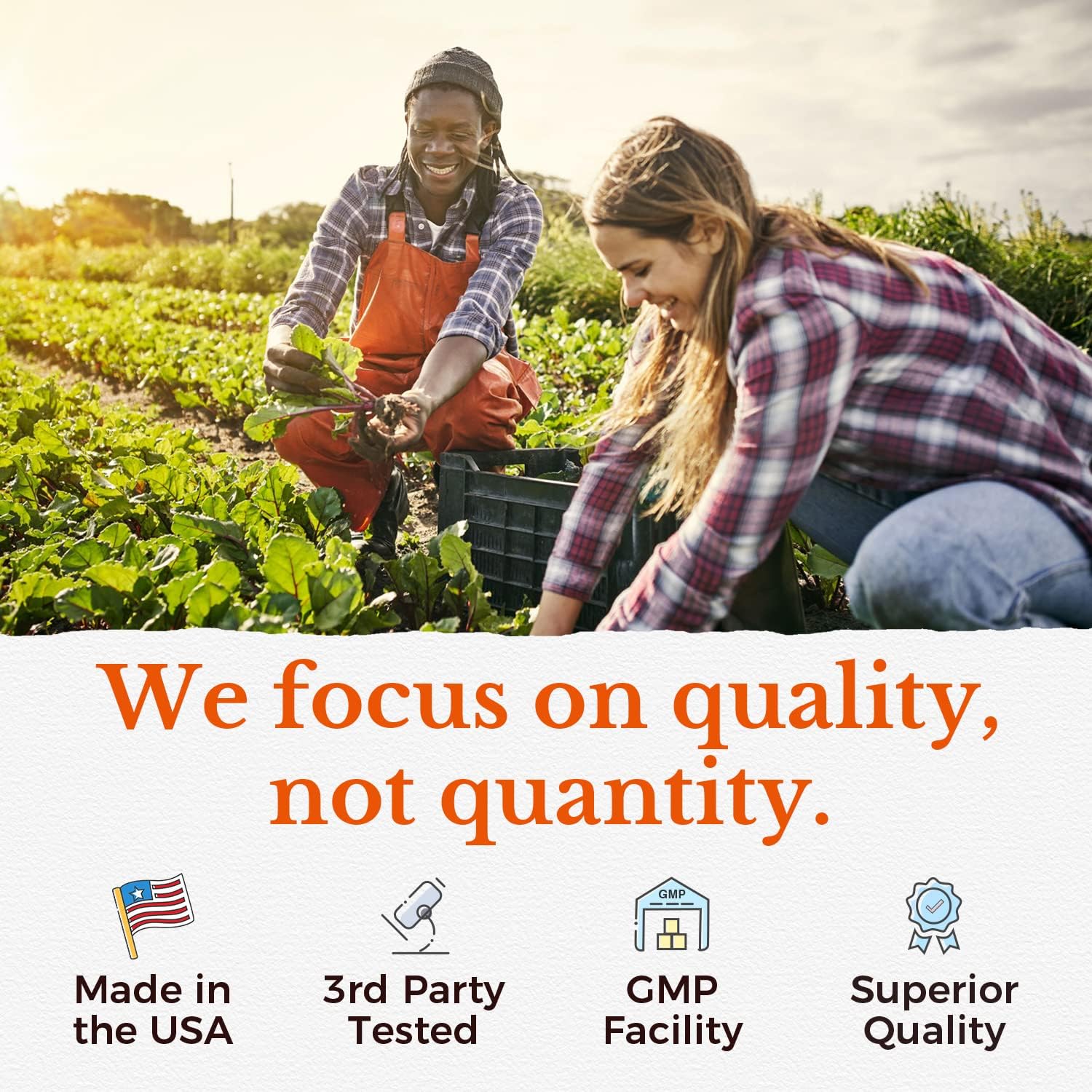 Vitalitown Probiotics: 120 Billion CFUs, 36 Strains, Prebiotics, Digestive Enzymes - On The Go Support