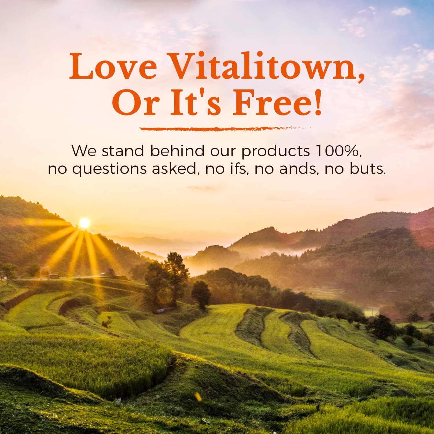 Vitalitown Probiotics: 120 Billion CFUs, 36 Strains, Prebiotics, Digestive Enzymes - On The Go Support