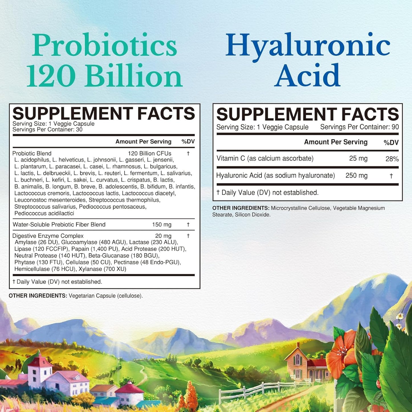 Vitalitown Probiotics 120 Billion CFUs and Hyaluronic Acid Bundle - 30 + 90 Capsules
