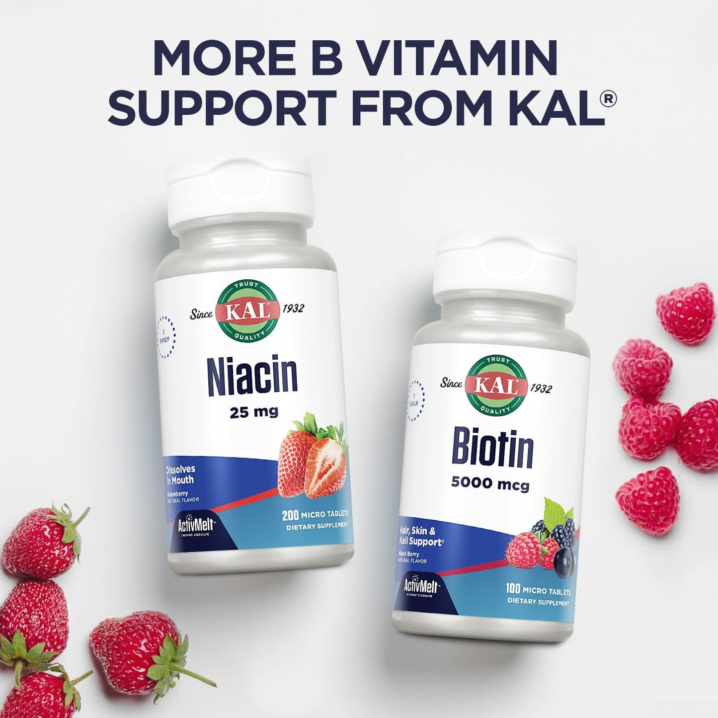 Vitamin B-6, B-12, and Folic Acid Supplement for Heart Health and Energy - 60 Berry Flavored ActivMelt Tablets