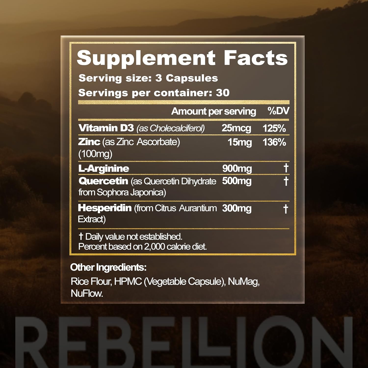 Vitamin D Zinc Immune Support Supplement with L-Arginine Quercetin Hesperidin - Non-GMO Gluten-Free Veggie Capsules - 90 Count