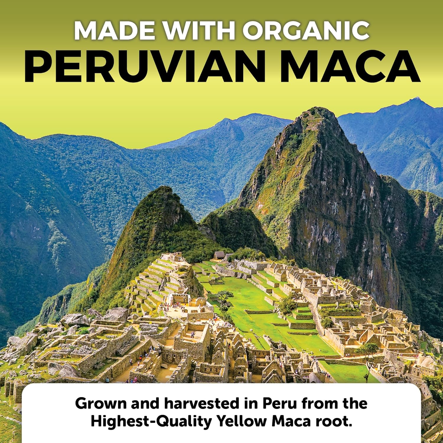 Viva Naturals Peruvian Maca Root Capsules for Sexual Well-Being & Stamina - 500mg - 250 Yellow Maca Powder Supplements