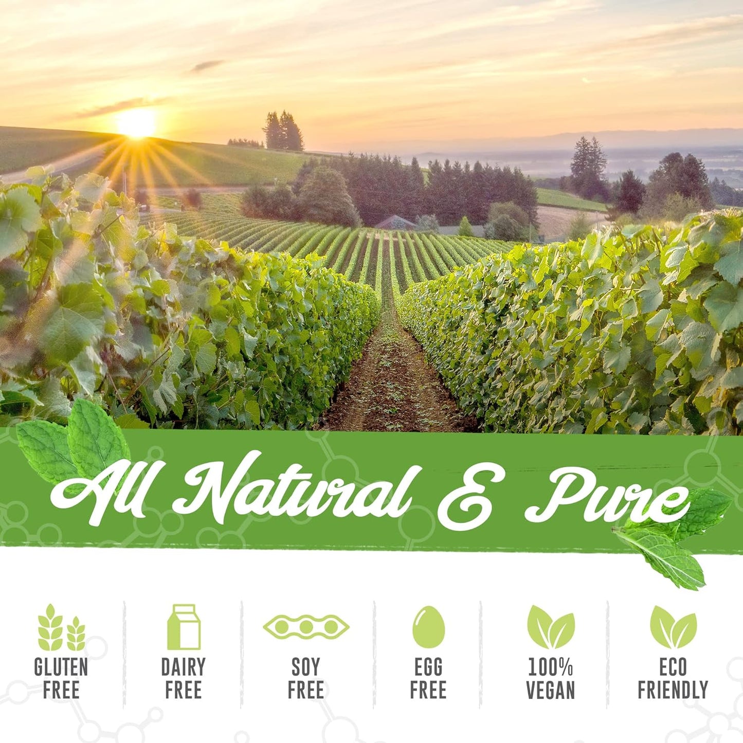 VivaFlex Joint Support Supplement with 9 Premium Ingredients for 1 Month - TerraForm Nutrition