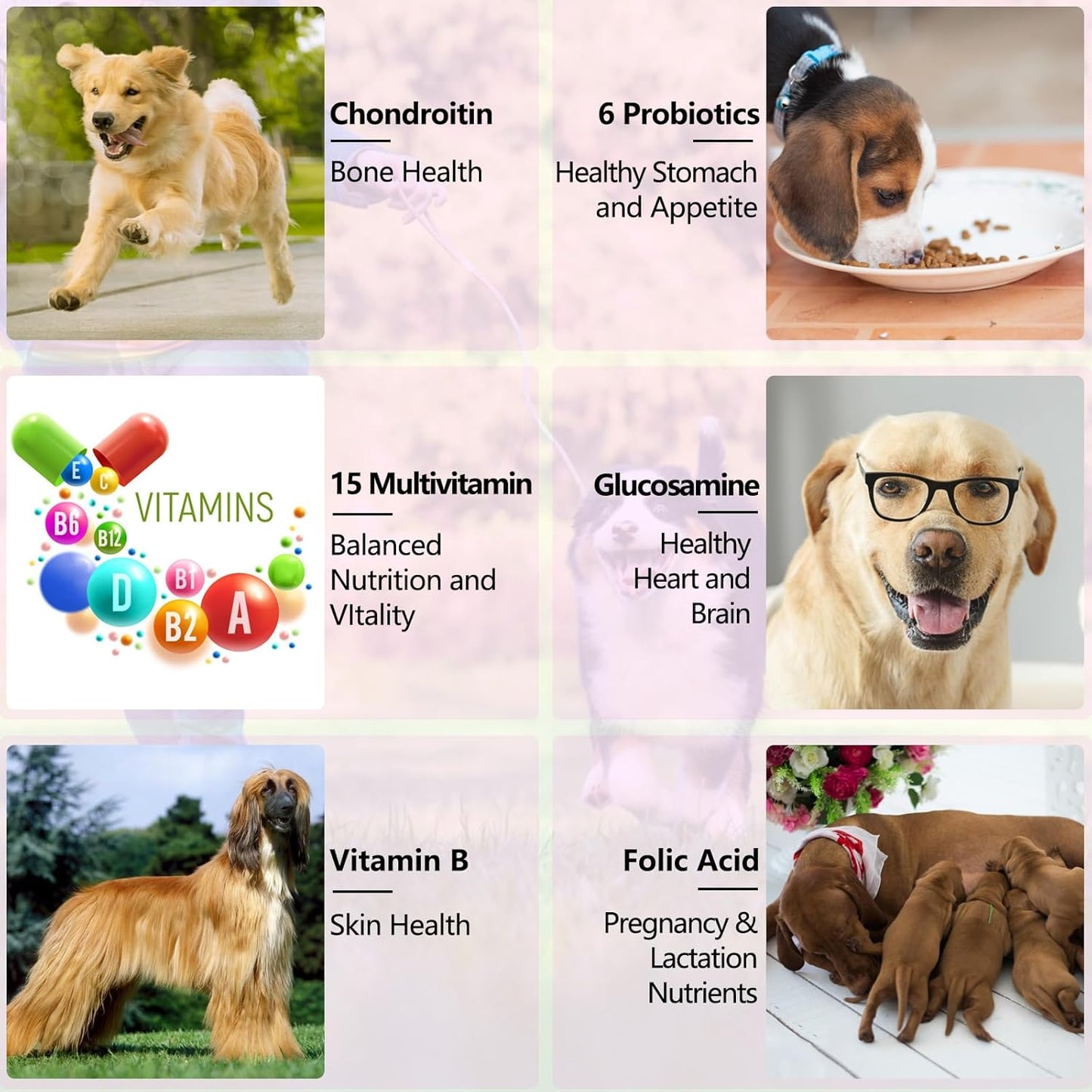 VOSIFSDIY 15-in-1 Dog Multivitamin Liquid Drops for Heart, Bones, Joints, Skin, Coat, Bladder, Immune System - 60ml x 2